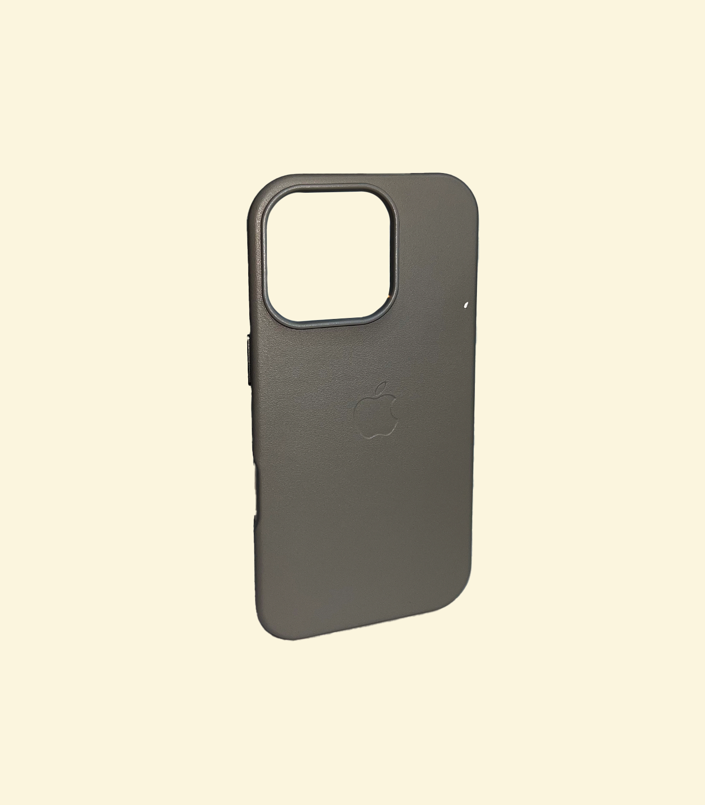 iPhone 16 Pro Max Case